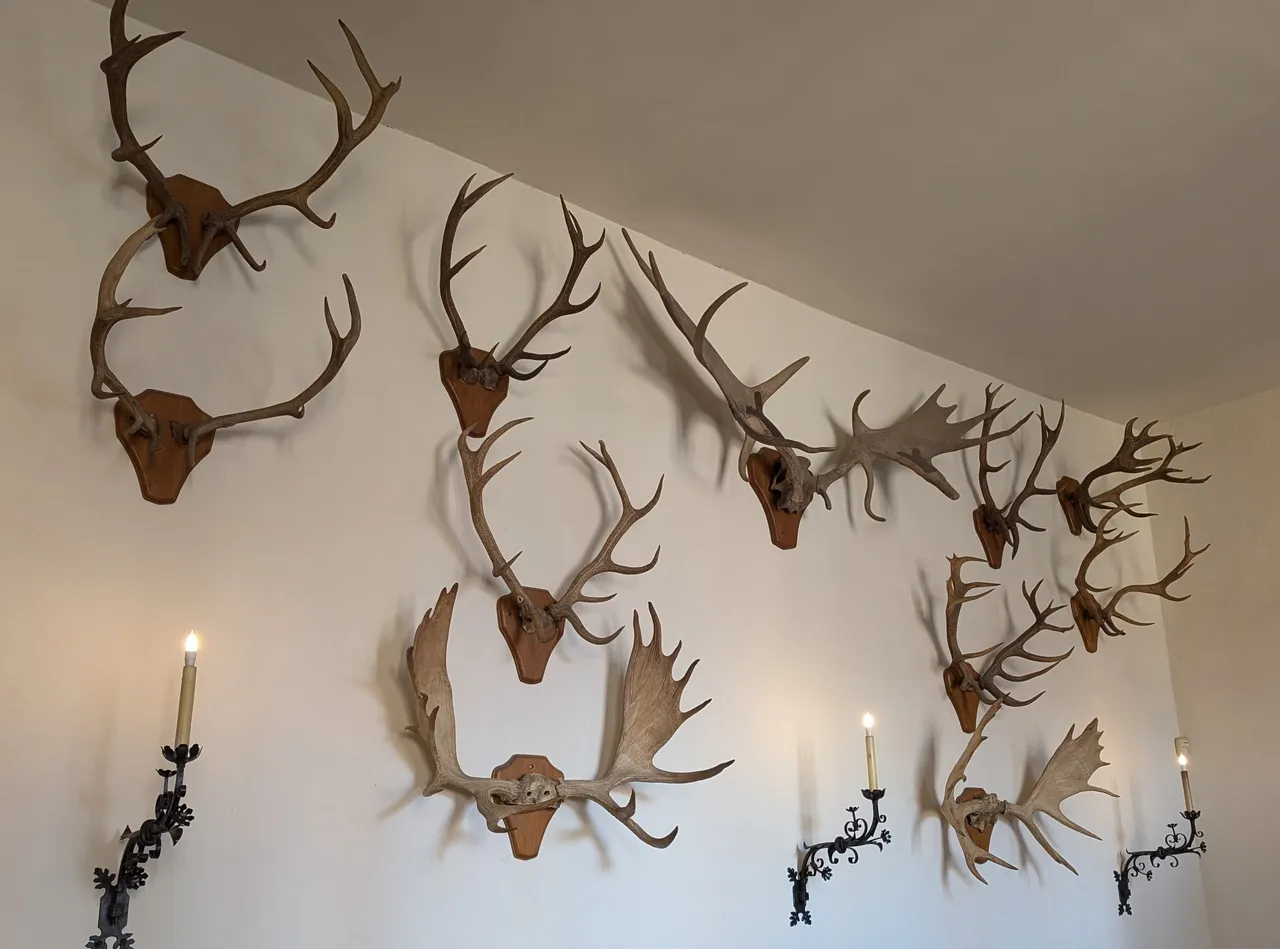 These antlers are apparently older than America by quite a lot).