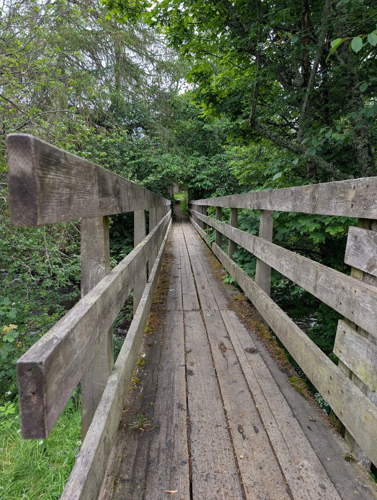 Scotland is just full of cool paths and not at all terrifying bridges.