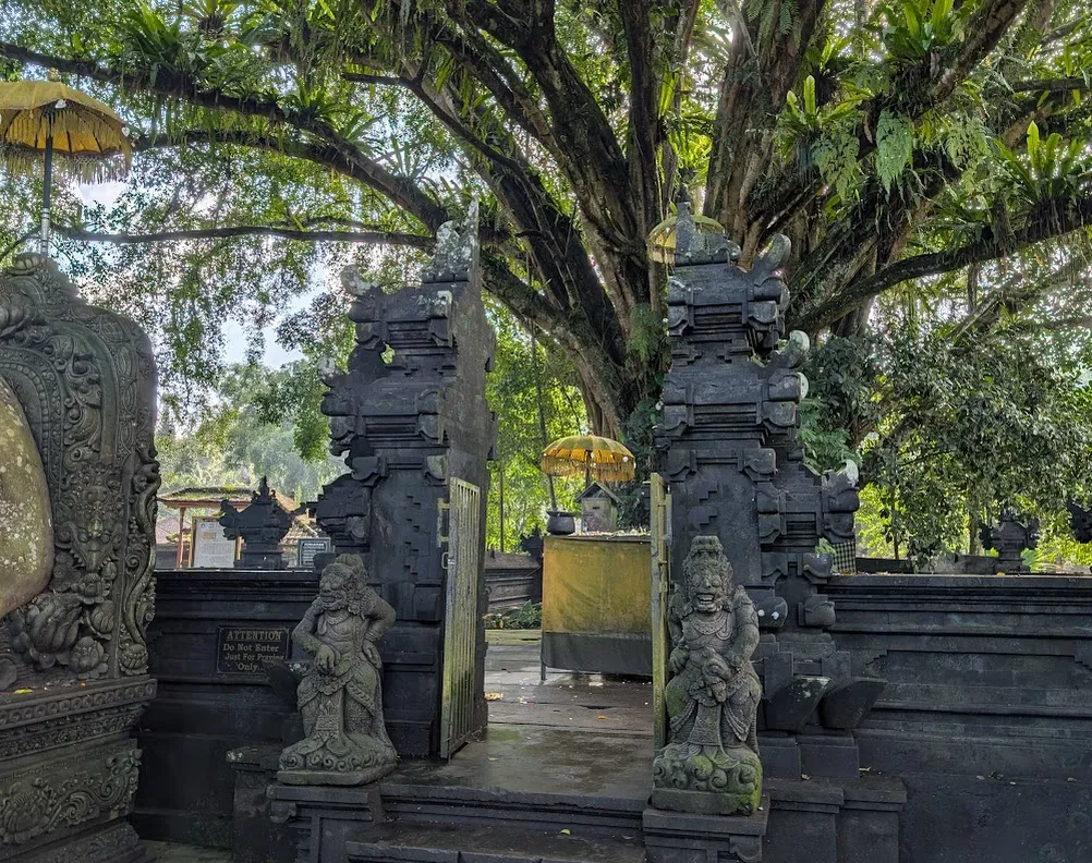 Split gate to a courtyard at the Pura Tirta Empul temple. The banyan tree had cloth wrapped around the base; it looks like some of the trees are also wearing sarongs. The Balinese Hindus believe in the spirit and soul of these trees, which I can understand.