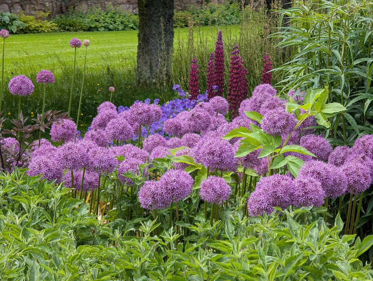 These purple guys know where it’s at.