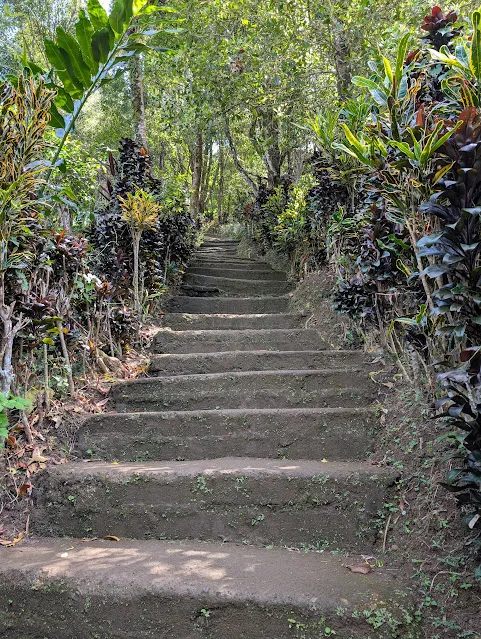 These steps were the nicer ones toward the bottom.