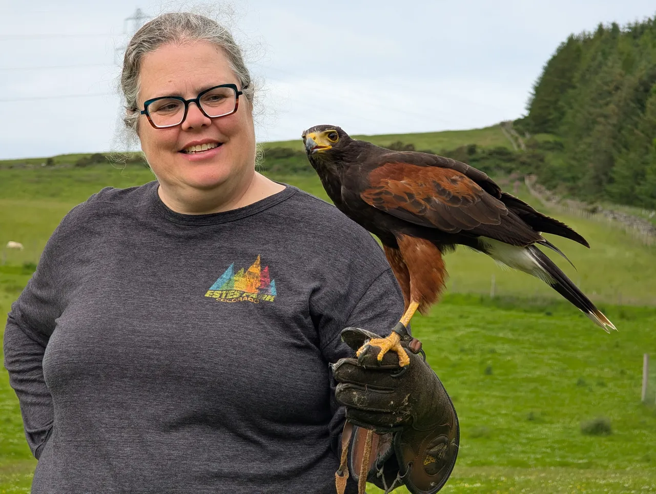 Here’s Chrissy with Zeus, the more chill Harris Hawk. He also flew off into the trees to stare at us, but he came back and started visiting.