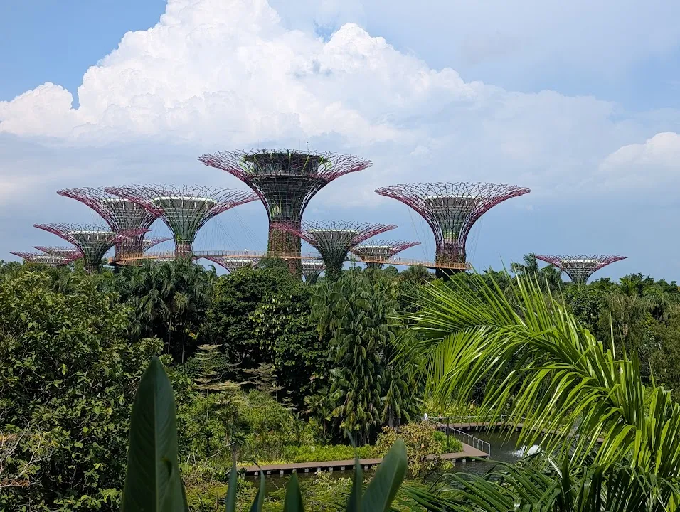 This is the other big attraction in the gardens. They are actually the vents for the hot air from the ginormous climate control system for the domes. They are enormous and, like the Sands, tend to dominate the skyline in a lot of the photos I didn’t post. We didn’t walk the elevated path (it was in the 90s and humid, so no).