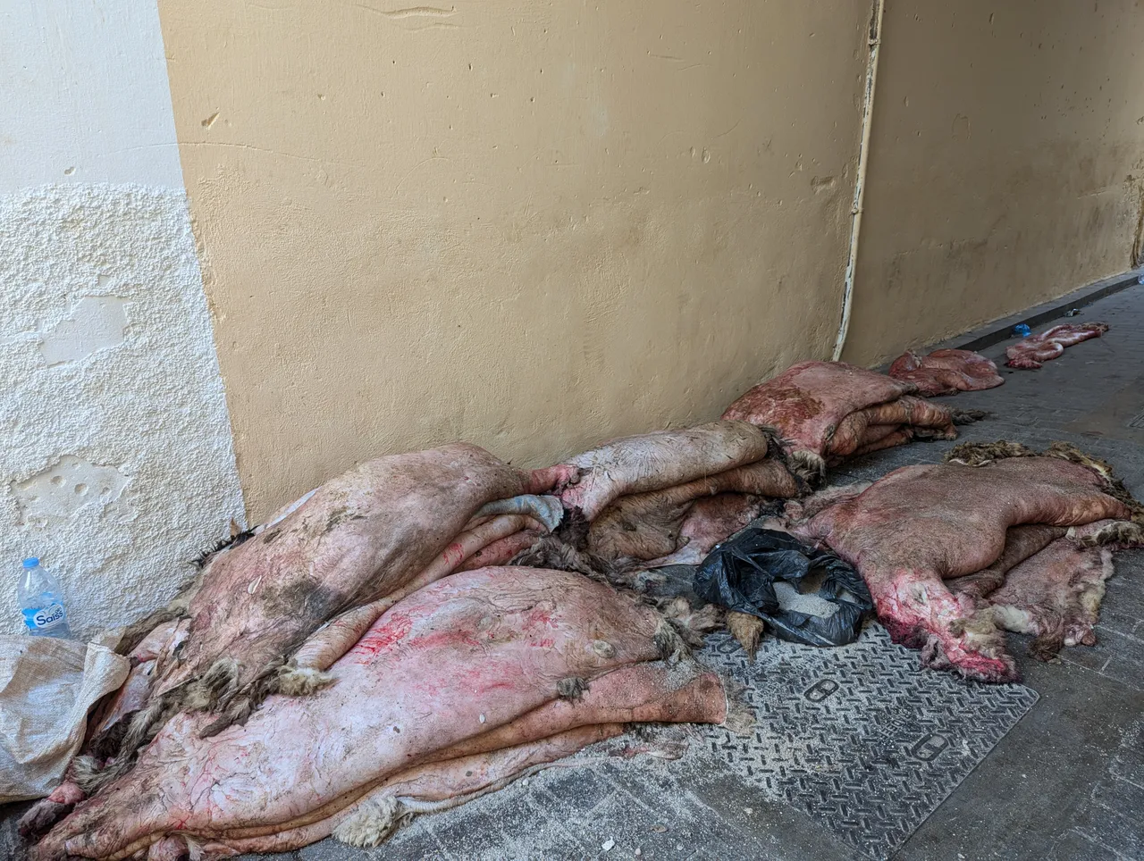Sheep skins on the side of the road in the Medina