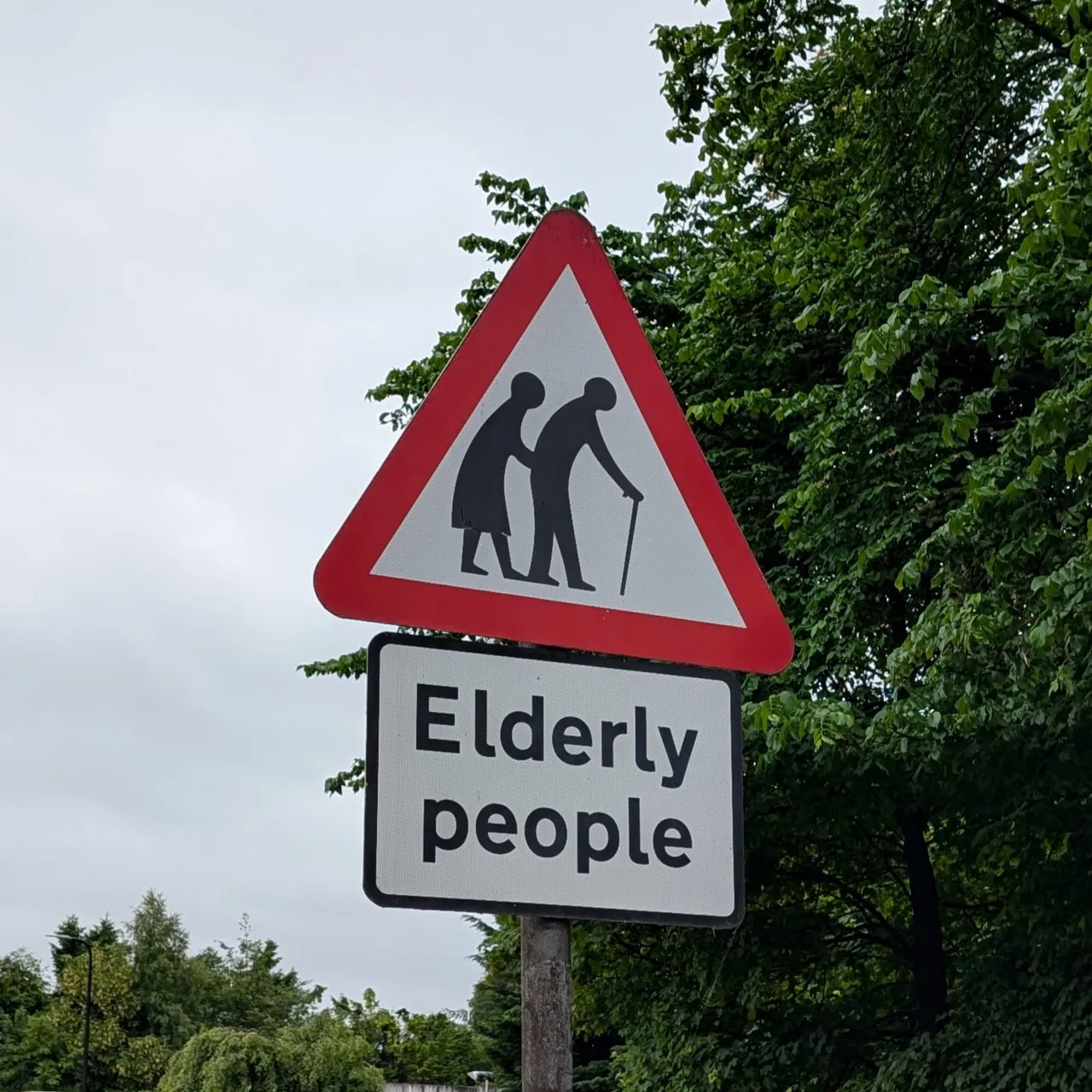 They exist.