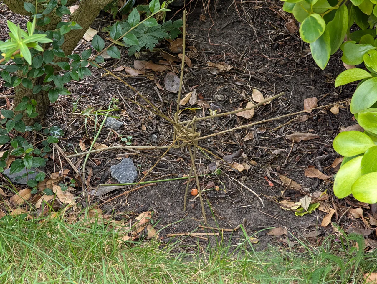 This was a failed bird feeder that ended up looking kind of blair-witchey, so I hid it in the garden as a surprise for whoever comes next.
