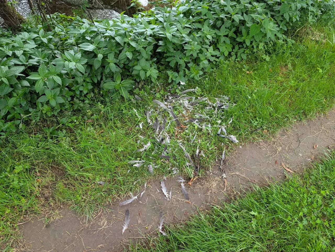 Somebody here had a really bad day. Somebody else had a good one.
