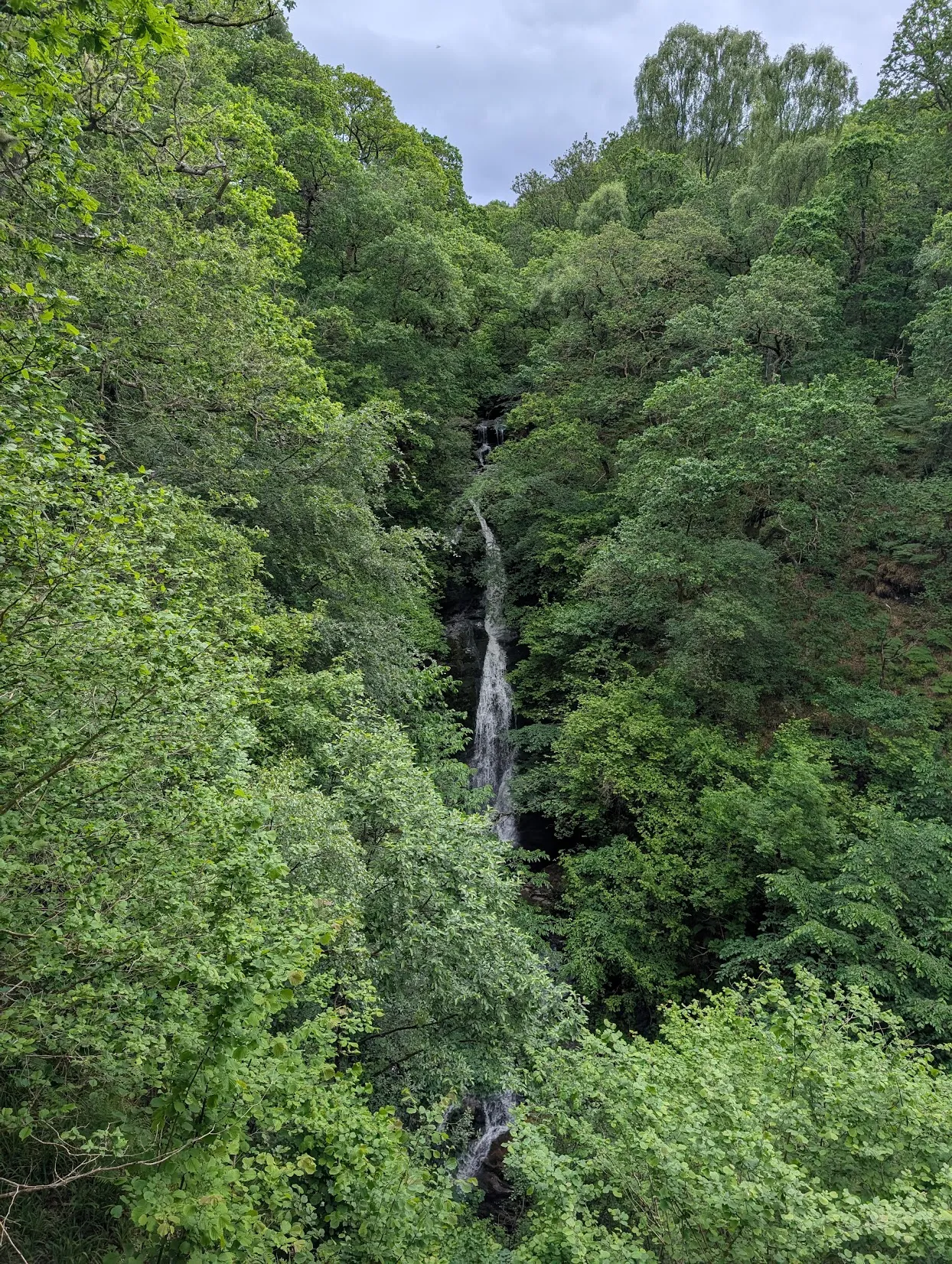 This is the Black Spout waterfall. I don’t know why it’s named that; I assume there’s some Gaelic pun about waterfalls being called spouts. Please do not disabuse me of this.