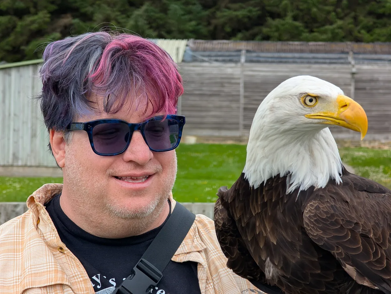 Me and a bald eagle. They remind me of seagulls in the way they move and chatter (throw their head all the way back and squawk). Undignified, honestly.
