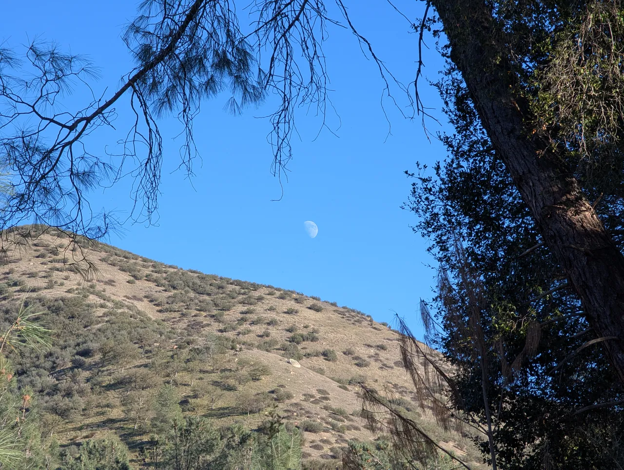 One thing about managing is: when I’m managing, I don’t write much. It should be a sign, a symptom. I love writing. Sort out my feelings, talk about cool stuff I’ve seen, lay down a memory external to myself. Photo is from Pinnacles NP, just after Thanksgiving 2025. I don’t remember anything about the trip except meeting a Ham Radio guy, wish I’d written something to cement it in my head. Pretty sure that’s the moon though.