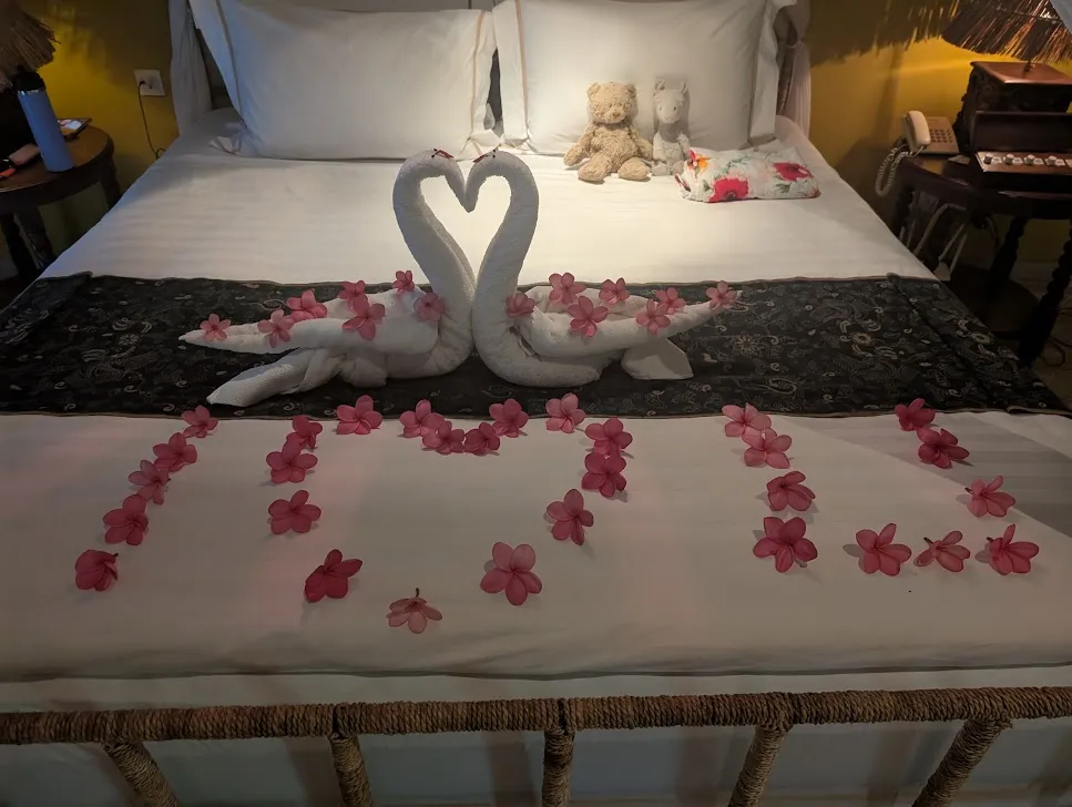 This is from Tuesday morning. The hotel staff did a lot of really clever stuff with our towels and a lot of flowers. There were fresh flowers used everywhere as decoration.