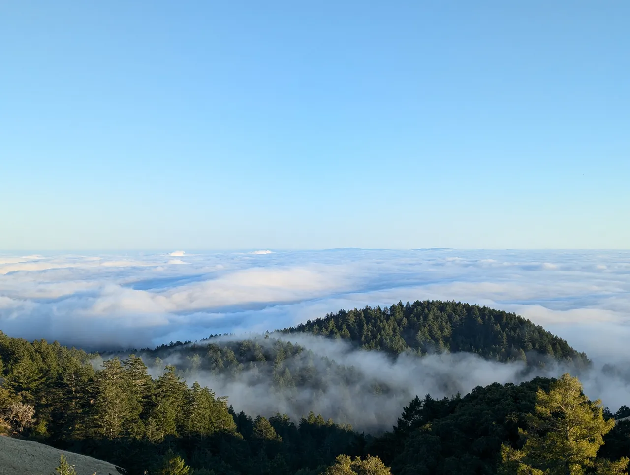 above the fog adrift on strange seas